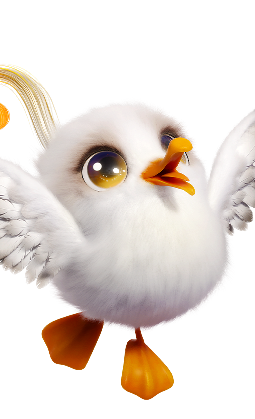 Whistle Gull